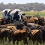 Aussie process types with the largest pay rises