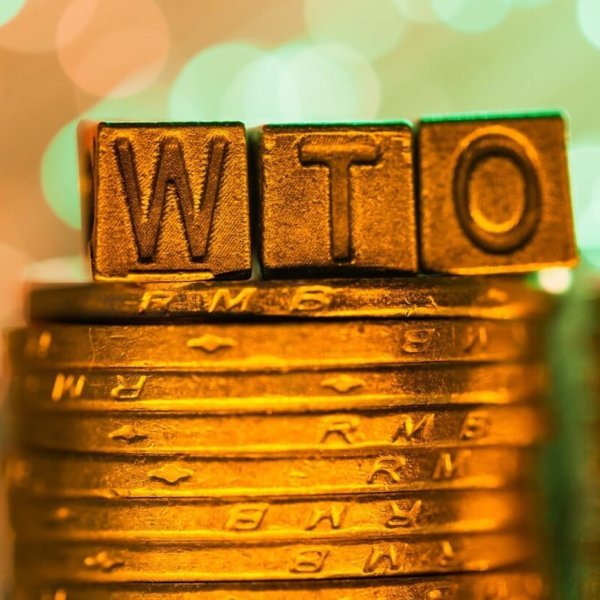 No-deal Brexit ‘ought to cause 50,000 Irish process losses