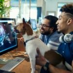 The top 10 maximum-paying jobs in tech