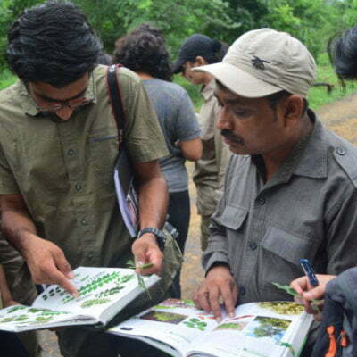 Career as a Naturalist