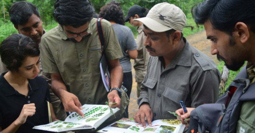 Career as a Naturalist