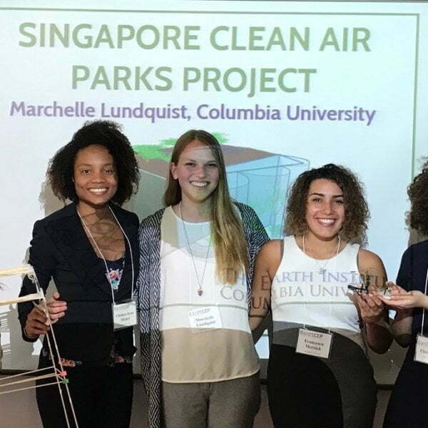 The Undergraduate Program in Sustainable Development