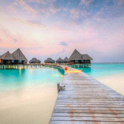 The Maldives is searching out a summer season intern to assist rescue sea turtles