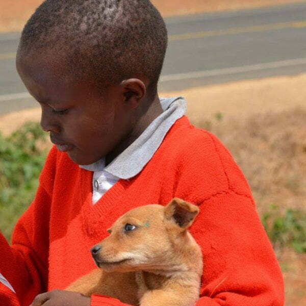 Education is important to save you rabies deaths