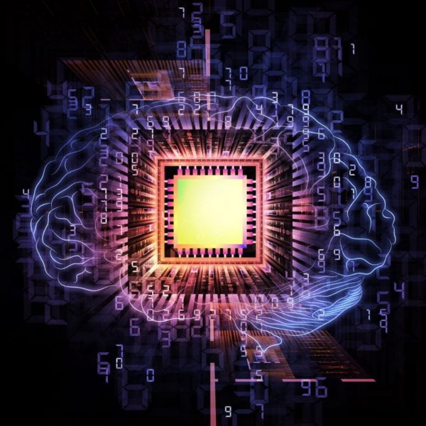 The NRA an educational agency