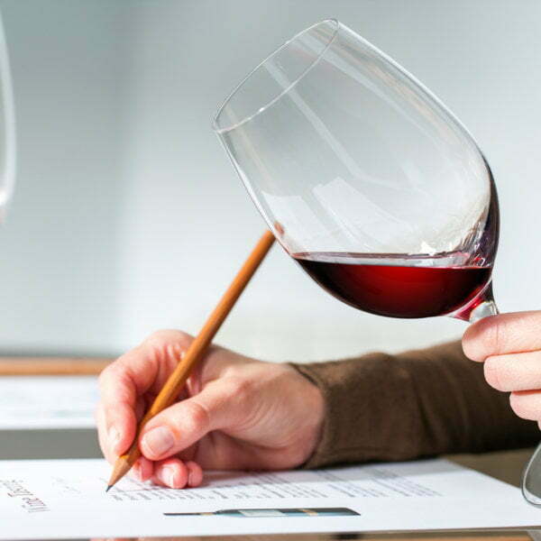 WSET to mark 50 years of wine training