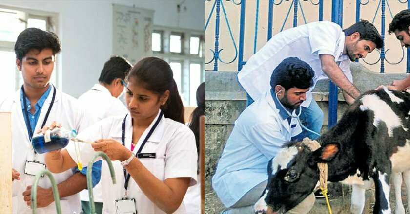 Lateral entry into MBBS to greater seats