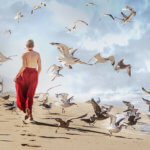 Can You Get a Photography Degree Online?