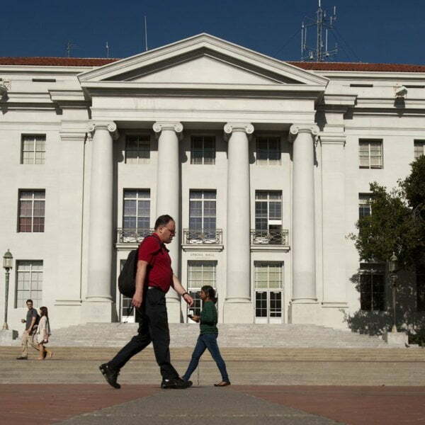 These are the university majors