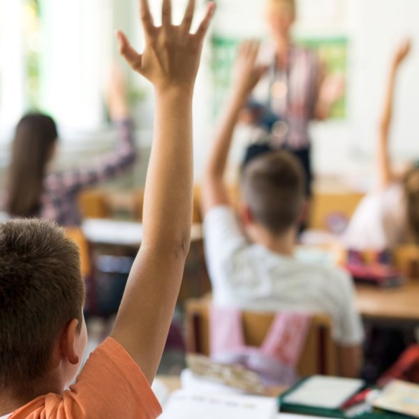 How schooling may be flexible