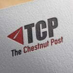 Global Distance Learning Market Type