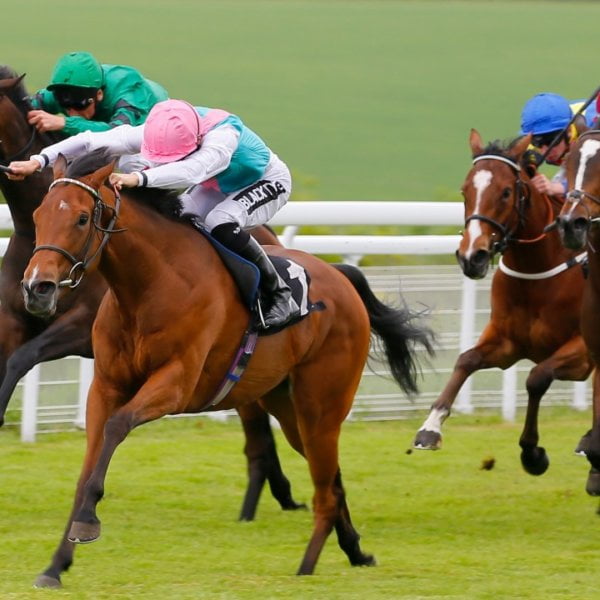 Royal Ascot 2019 tips