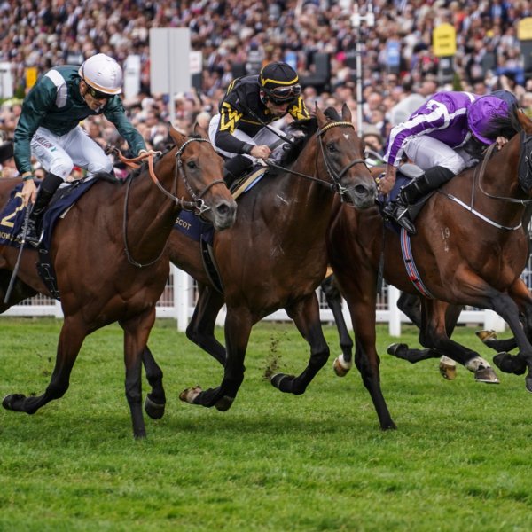 Royal Ascot 2019 having a bet suggestions