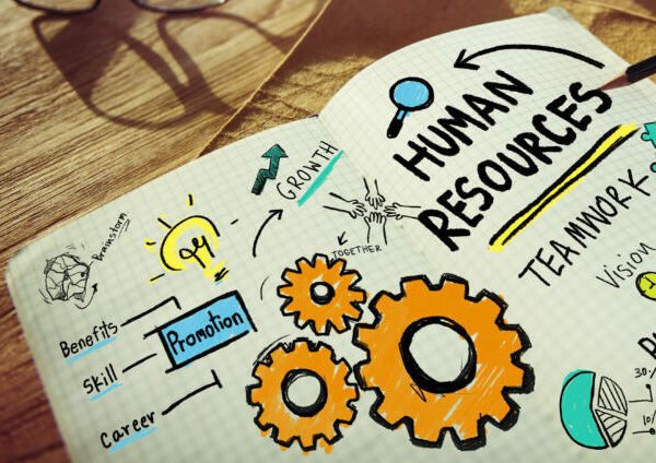 10 Tips for Navigating Your HR Career