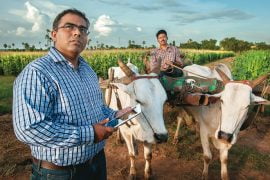 Ringing in farming 3.0 1