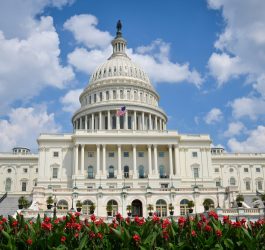 Government to widen entry for foreign funds while shuttering FIPB 10