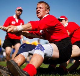 US telecom shares outshine broader 7