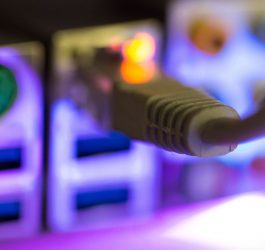 Bitcoin Proxy Stocks Rise Alongside Digital Currency 7