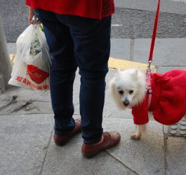 Suspicions dog China-US investments 9