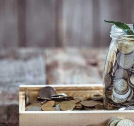 How to thoroughly analyse equity mutual funds to maximise profit? 8