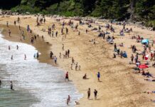 THEN AND NOW: Driven by way of a dream at the Sand Beach Auto Farm near Yarmouth