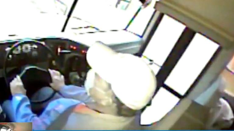 Deer Crashes Through School Bus Windshield And Lands On Sleeping Student Deer Crashes Through School Bus Windshield And Lands On Sleeping Student