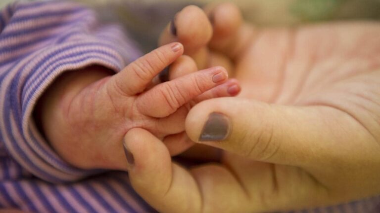 Outrage over ‘offensive’ census question about babies Outrage over ‘offensive’ census question about babies