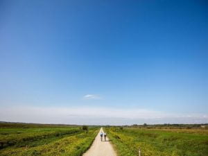 636055215431849306-trek4-300x225-1