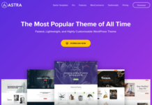 What is the Best WordPress Theme for Beginners?