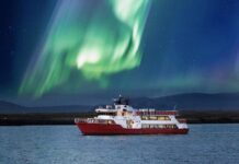 Northern Lights Cruise Tips for Families in the North