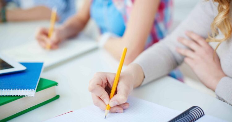 Educational Organisation Plan Template for Teachers 2