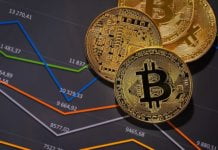 The Art of Crypto Trading – Choosing The Cryptocurrency As Per Your Needs And Preferences
