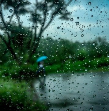 Four insurance covers you need to have this monsoon