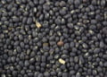 Global Black Gram Market 2019