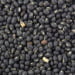 Global Black Gram Market 2019