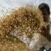 Alternative Grains Can Help India Allay Impact of Global Heating on Agriculture