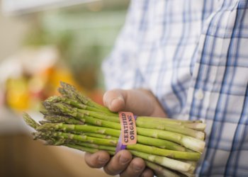 Corbion Plant Preps for More Organic Foods Growth