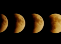 Eat under the moon
