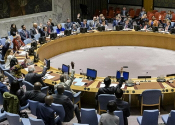 Director briefs UN Security Council on the state of affairs in Yemen
