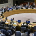 Director briefs UN Security Council on the state of affairs in Yemen