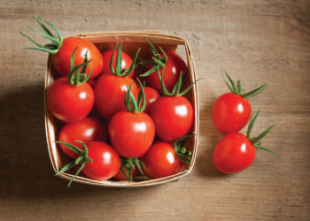 United Fresh Updates Food Safety Guidelines for Fresh Tomato Supply Chain