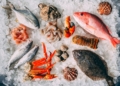 Fresh Sea Food Packaging Market Research Report 1 Fresh Sea Food Packaging Market Research Report