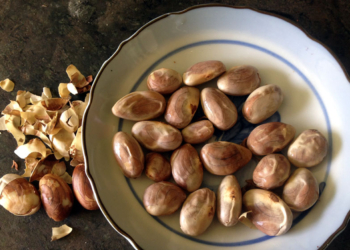 Jackfruit Seeds: Nutrition, Benefits