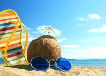 Summer’s candies: selecting blueberries in NNY