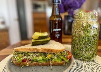 Homegrown Sprouts: A Guide to Growing and Enjoying Fresh Greens