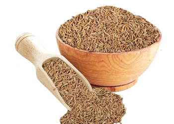 The Powerful Benefits of Jeera: A Must-Have Spice