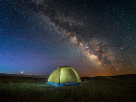 Stellar night of track and phrases 148 Stellar night of track and phrases 148