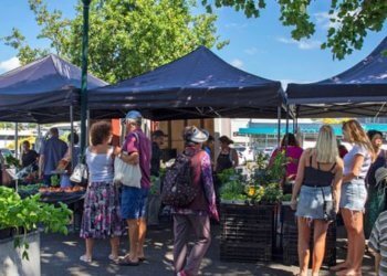 Market Movers: What modified for D-Street even as you had been slumbering