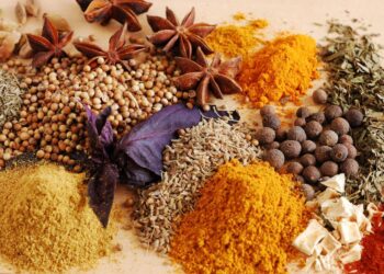 World Liver Day 2019: Five Ayurvedic herbs that will help keep your liver healthy