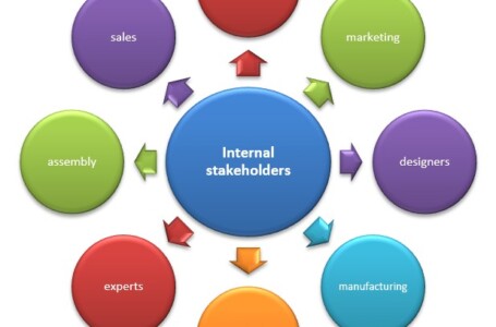 Understanding Internal Stakeholders at XYZ Organization 7